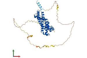 Protein Structure (PS) image for Increased Sodium Tolerance 1 Homolog (IST1) (AA 1-364) protein (His tag) (ABIN7554225)