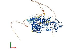 AlphaFold protein structure predicition of Mouse Recombinant Mbtd1 Protein, UniprotID Q6P5G3