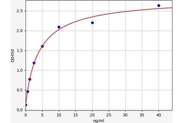 OSGIN2 ELISA Kit