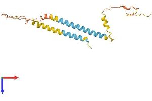 AlphaFold protein structure predicition of Mouse Recombinant Tmem240 Protein, UniprotID B2RWJ3