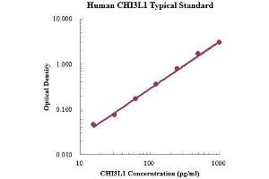 ELISA image for Chitinase 3-Like 1 (Cartilage Glycoprotein-39) (CHI3L1) ELISA Kit (ABIN3198516)