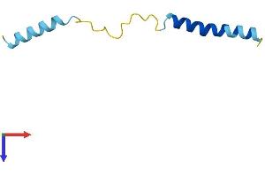 AlphaFold protein structure predicition of Human Recombinant SERP1 Protein, UniprotID Q9Y6X1 (SERP1 Protein (AA 1-66) (Fc Tag))