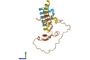AlphaFold protein structure predicition of Human Recombinant KRBOX4 Protein, UniprotID Q5JUW0 (KRAB Box Domain Containing 4 (KRBOX4) (AA 1-171) protein (His tag))