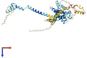 Family with Sequence Similarity 227, Member B (FAM227B) (AA 1-508) protein (His tag)