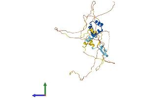 AlphaFold protein structure predicition of Human Recombinant C4orf17 Protein, UniprotID Q53FE4 (C4ORF17 Protein (AA 1-359) (His tag))
