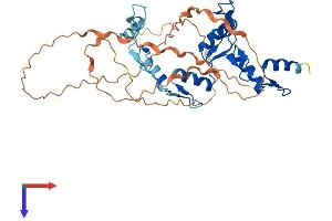 AlphaFold protein structure predicition of Human Recombinant GLI4 Protein, UniprotID P10075 (GLI4 Protein (AA 1-376) (His tag))