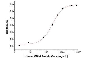 Activity Assay (AcA) image for Fc Fragment of IgG, Low Affinity IIIa, Receptor (CD16a) (FCGR3A) (AA 17-208), (F176V) (Active) protein (His tag) (ABIN7607284)
