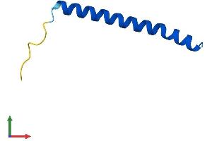 AlphaFold protein structure predicition of Mouse Recombinant Tomm5 Protein, UniprotID B1AXP6