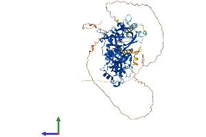 AlphaFold protein structure predicition of Human Recombinant L3MBTL2 Protein, UniprotID Q969R5 (L3MBTL2 Protein (AA 1-705) (His tag))