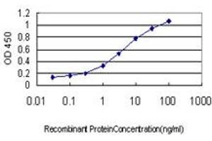 Detection limit for recombinant GST tagged PTK2B is approximately 0. (PTK2B antibody  (AA 682-871))