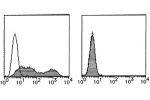 Flow Cytometry (FACS) image for anti-Podoplanin (PDPN) antibody (FITC) (ABIN2853606) (Podoplanin antibody  (FITC))