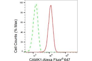 Flow cytometric analysis of CAMK1 expression in C2C12 cells using CAMK1 antibody (ABIN7797830), 1:2,000).