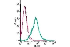 Flow Cytometry (FACS) image for anti-5-Hydroxytryptamine (serotonin) Receptor 2A (HTR2A) (AA 40-52), (Extracellular) antibody (ABIN7042875)