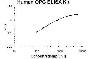 Human OPG PicoKine ELISA Kit standard curve