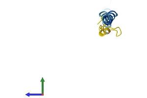 AlphaFold protein structure predicition of Mouse Recombinant Serp1 Protein, UniprotID Q9Z1W5 (SERP1 Protein (AA 1-66) (Fc Tag))