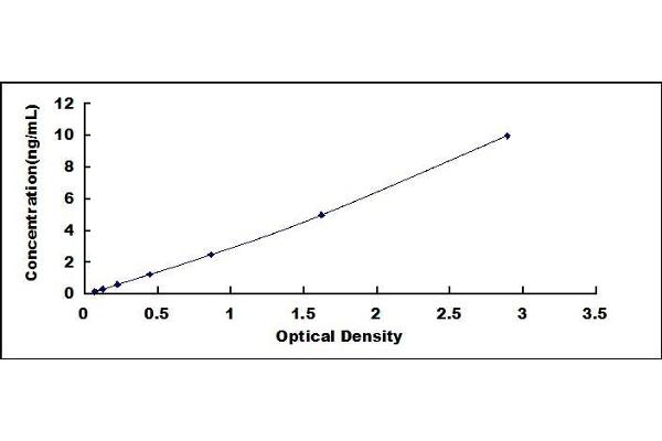 CYP11B2 ELISA Kit