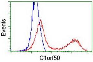 HEK293T cells transfected with either RC200134 overexpress plasmid (Red) or empty vector control plasmid (Blue) were immunostained by anti-C1orf50 antibody (ABIN2454603), and then analyzed by flow cytometry. (C1ORF50 antibody)