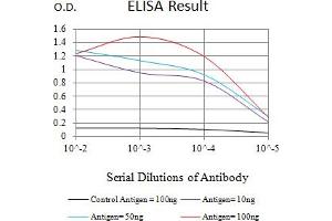 Black line: Control Antigen (100 ng),Purple line: Antigen (10 ng), Blue line: Antigen (50 ng), Red line:Antigen (100 ng) (Lysine (K)-Specific Methyltransferase 2B (KMT2B) (AA 445-599) antibody)