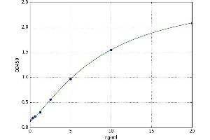 Heparan Sulphate Protoglycans (HSPG) ELISA Kit