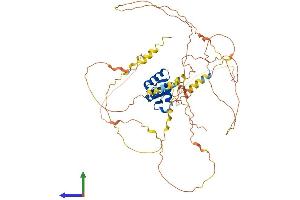 AlphaFold protein structure predicition of Human Recombinant ERF Protein, UniprotID P50548