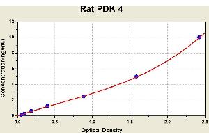 PDK4 ELISA Kit