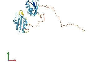 AlphaFold protein structure predicition of Human Recombinant SRSF9 Protein, UniprotID Q13242 (SFRS9 Protein (AA 1-221) (His tag))