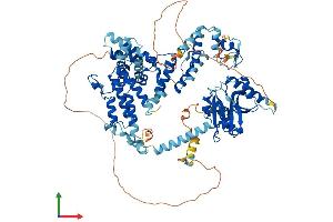 AlphaFold protein structure predicition of Mouse Recombinant Kat2b Protein, UniprotID Q9JHD1 (KAT2B Protein (AA 1-813) (His tag))