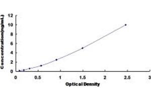 Typical standard curve (KIF5B ELISA Kit)