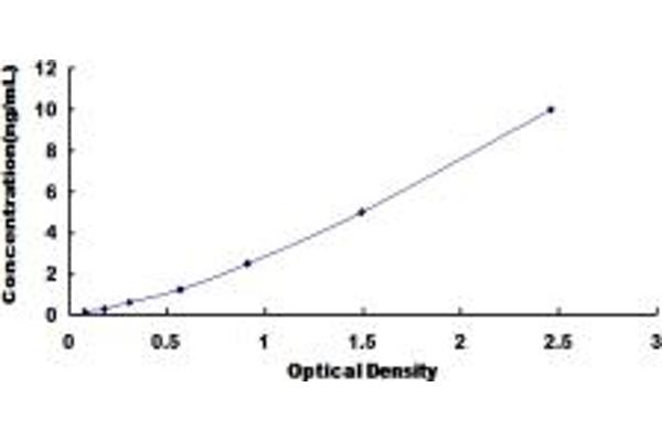 KIF5B ELISA Kit