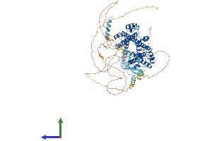 Protein Structure (PS) image for PRP40 Pre-mRNA Processing Factor 40B (PRPF40B) (AA 1-870) protein (His tag) (ABIN7558376)
