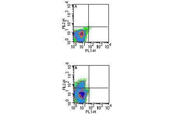 H2-T23 antibody