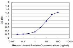 Detection limit for recombinant GST tagged CDS2 is approximately 0. (CDS2 antibody  (AA 1-67))