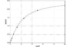 Cat Eye Syndrome Chromosome Region, Candidate 1 (CECR1) ELISA Kit