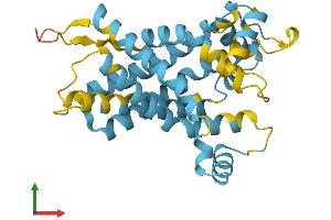 AlphaFold protein structure predicition of Human Recombinant SLC25A10 Protein, UniprotID Q9UBX3 (SLC25A10 Protein (AA 1-287) (His tag))