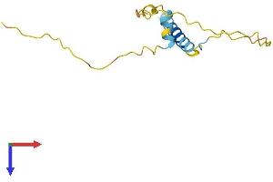 Predicted Gene 5617 (GM5617) (AA 1-117) protein (His tag)