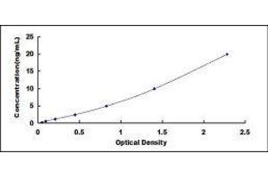 Typical standard curve (Fibrillin 1 ELISA Kit)