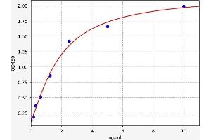 Typical standard curve (D2HGDH ELISA Kit)