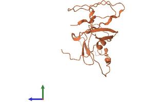 AlphaFold protein structure predicition of Human Recombinant LINC00528 Protein, UniprotID Q8N1L1