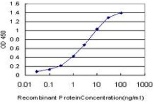 Detection limit for recombinant GST tagged NME1 is approximately 0. (NME1 antibody  (AA 43-152))