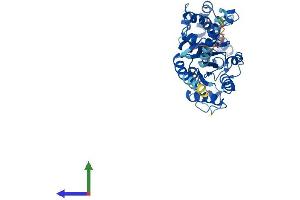 AlphaFold protein structure predicition of Human Recombinant GNA13 Protein, UniprotID Q14344 (GNA13 Protein (AA 1-377) (His tag))