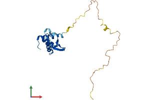Protein Structure (PS) image for Ribosomal Protein S10 (RPS10) (AA 1-165) protein (His tag) (ABIN7551562)