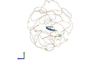 AlphaFold protein structure predicition of Human Recombinant TSC22D1 Protein, UniprotID Q15714 (TSC22D1 Protein (AA 1-1073) (His tag))
