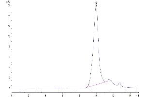 Size-exclusion chromatography-High Pressure Liquid Chromatography (SEC-HPLC) image for SARS-CoV-2 Spike (RBD) protein (His-Avi Tag) (ABIN7274399)