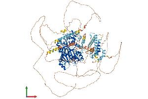 AlphaFold protein structure predicition of Human Recombinant TTLL5 Protein, UniprotID Q6EMB2 (TTLL5 Protein (AA 1-1281) (His tag))