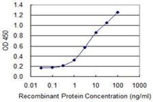 Detection limit for recombinant GST tagged SERTAD1 is 0. (SERTAD1 antibody  (AA 1-236))