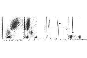 Image no. 1 for anti-CD4 (CD4) antibody (ABIN1106336) (CD4 antibody)