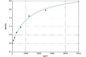 Retinoblastoma Binding Protein 4 (RBBP4) ELISA Kit