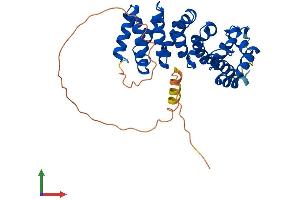 AlphaFold protein structure predicition of Human Recombinant ARMC10 Protein, UniprotID Q8N2F6 (ARMC10 Protein (AA 1-343) (His tag))