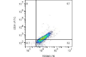 Cell surface multicolor flow cytometry analysis of live intact mouse  microglia cells with CD81 and TREM2: cells were labeled with Anti-CD81 (extracellular)-FITC Antibody (ABIN7582017), (5 μg) and with Anti-TREM2 (extracellular)-PE Antibody (ABIN7043867, ABIN7045598, ABIN7045599 and ABIN7045600), (5 μg). (CD81 antibody  (Extracellular) (FITC))