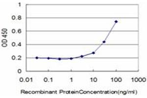 Detection limit for recombinant GST tagged FBL is approximately 3ng/ml as a capture antibody. (Fibrillarin antibody  (AA 1-321))